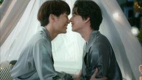 与爱同居2,续写甜蜜同居生活新篇章